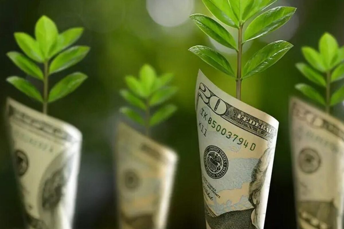 Billets roulés plantés dans la terre d’où sortent de jeunes pousses vertes, image courante des promesses écologiques en communication commerciale