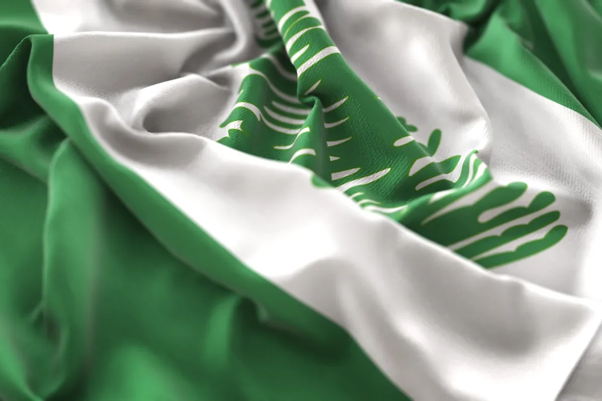 Drapeau du Nigeria froissé, ses deux bandes vertes encadrant une bande blanche