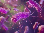 Bactéries en gros plan, image du parasite SEO qui tire parti de l’autorité d’un site hôte
